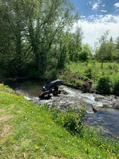 Weston glamping pod Nature lodge in Oswestry