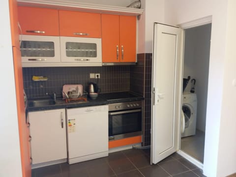Kitchen or kitchenette, dishwasher, minibar, oven, washing machine