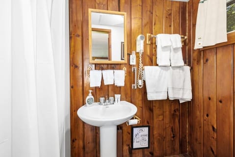 7 Cabins on Chippewa Lake Cabin in Michigan