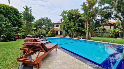Garden, Garden view, Swimming pool, sunbed