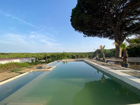 Natural landscape, Pool view, Swimming pool