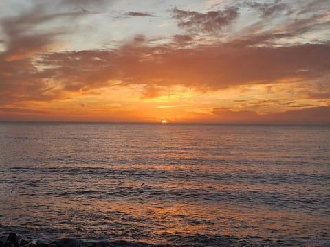 Natural landscape, Sea view