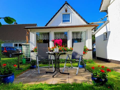 Spring, Garden, Seating area, Garden view