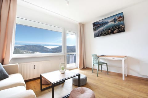 Natural landscape, TV and multimedia, Living room