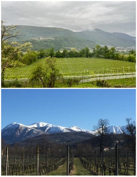 View (from property/room), Mountain view