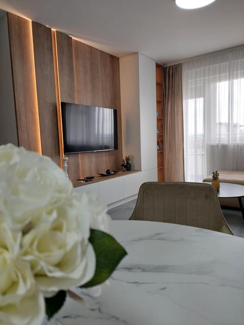 Communal lounge/ TV room, TV and multimedia