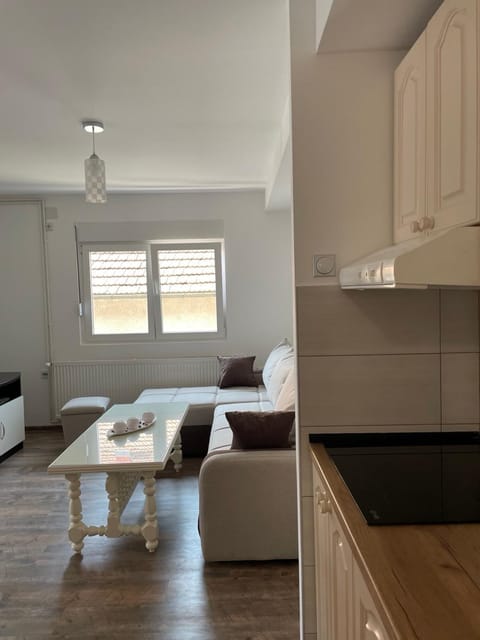 Kitchen or kitchenette, Living room, Seating area
