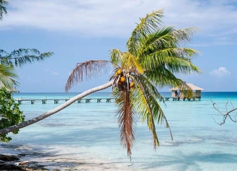 Beach, Sea view