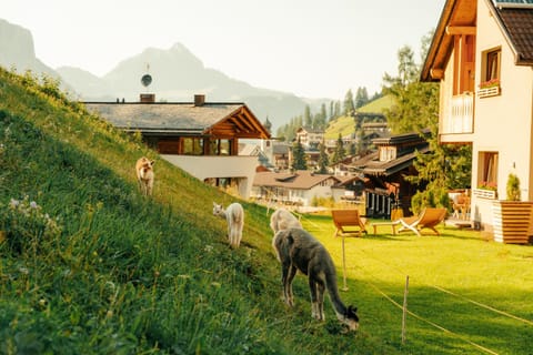 Property building, Spring, Day, Natural landscape, Mountain view