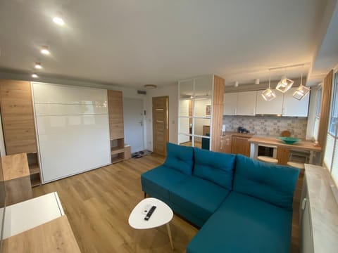 TV and multimedia, Kitchen or kitchenette, Living room, Seating area, Dining area