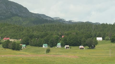 Vila Tamara 2024 Villa in Montenegro