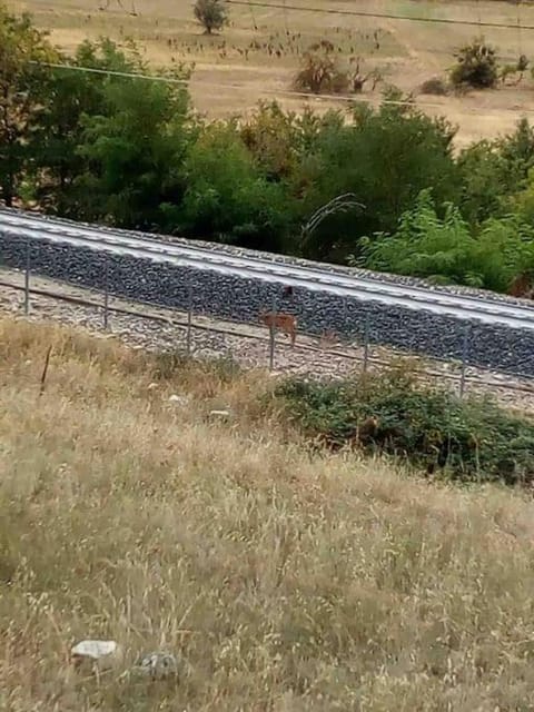 La Casa Dell'Orso - Parco d'Abruzzo House in Abruzzo