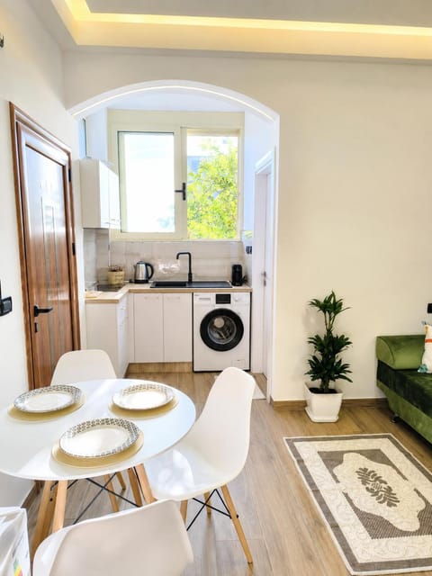 Kitchen or kitchenette, Living room, Seating area, Dining area, Bedroom, stove, washing machine, kitchen