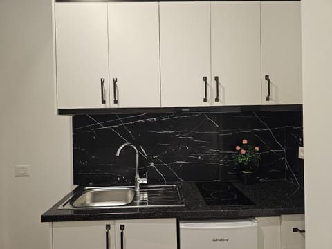 Kitchen or kitchenette, stove