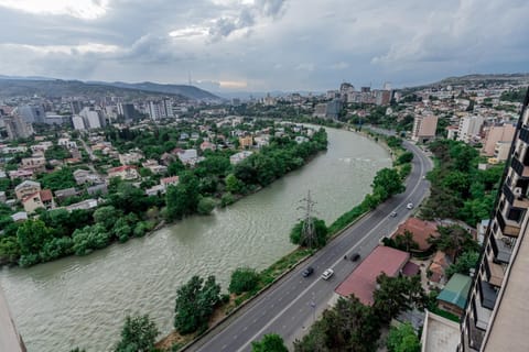Nearby landmark, Natural landscape, Bird's eye view, City view, Mountain view, River view, Location