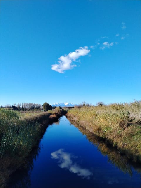 Natural landscape