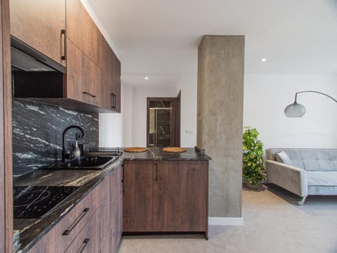 TV and multimedia, Kitchen or kitchenette, Living room, Lounge or bar, Food and drinks, minibar, stove, stove