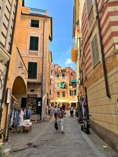 La casa di Andreina Apartment in Monterosso al Mare