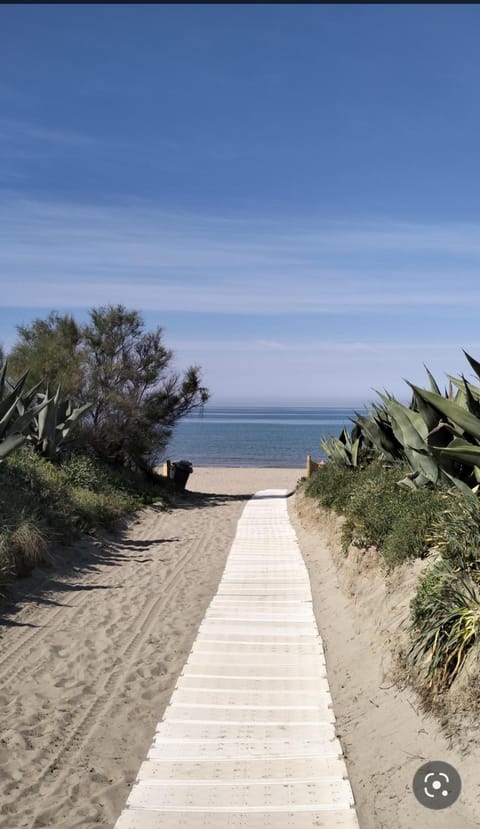 Delizioso indipendente fronte mare con giardino House in Torvaianica
