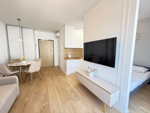 Communal lounge/ TV room, Bed, TV and multimedia, Kitchen or kitchenette, Living room, Photo of the whole room, Seating area, Dining area, Evening entertainment