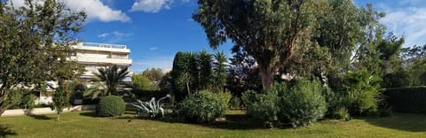 Property building, Natural landscape, Garden, Garden view