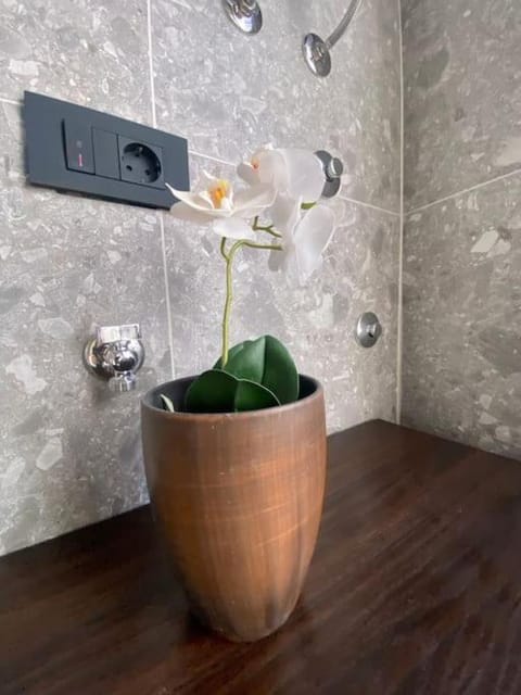 CASA MANZONI old town-Novigrad 20 m from the sea Apartment in Novigrad