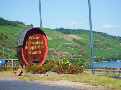 Ferienwohnung Georg Apartment in Boppard