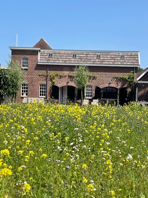 Property building, Cycling