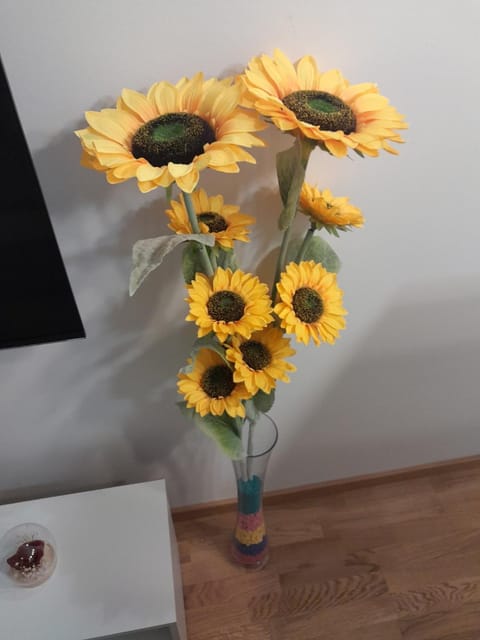 Apartman Luka Apartment in Serbia