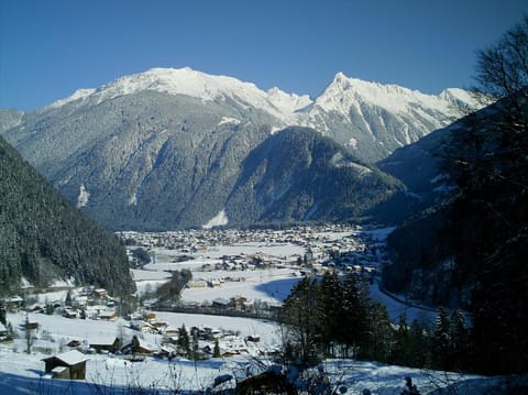 Winter, Mountain view