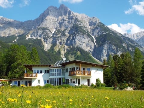 Property building, Summer