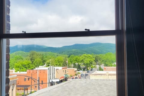 Brick Loft Penthouse on Main Apartment in Brevard