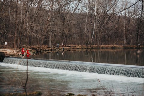 Natural landscape