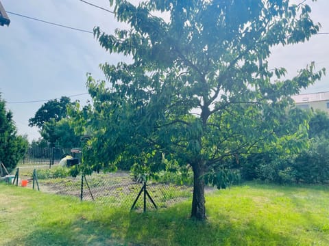 Apartament MIKO Apartment in Pomeranian Voivodeship