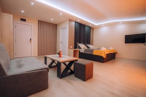 Communal lounge/ TV room, Bed, TV and multimedia, Photo of the whole room