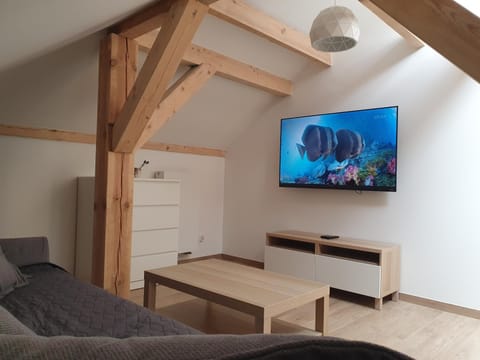 Arinea poddasze Apartment in Leba