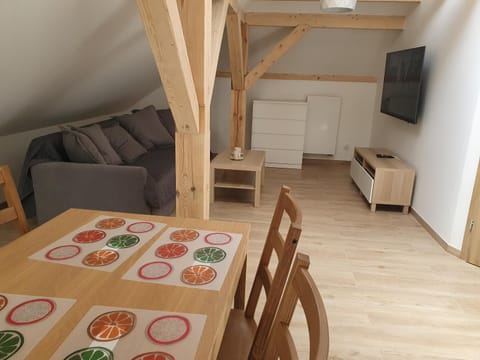 Arinea poddasze Apartment in Leba