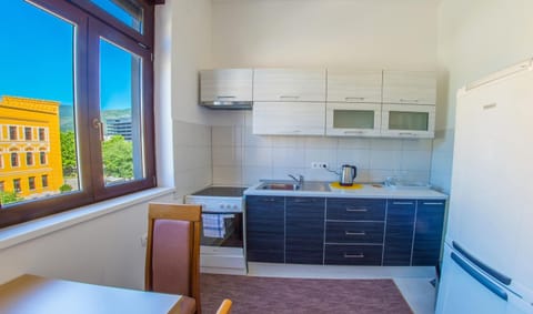 Kitchen or kitchenette, Dining area, oven, stove