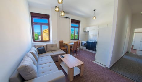 Kitchen or kitchenette, Living room, Seating area, Dining area, air conditioner