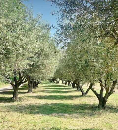 L' Escale House in Bonnieux