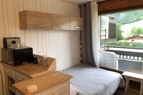 Family studio near the slopes of Praz-sur-Arly Apartment in Megève