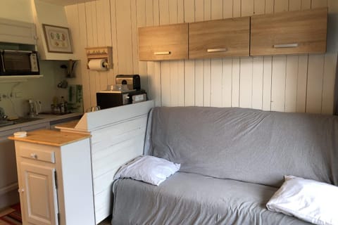 Family studio near the slopes of Praz-sur-Arly Apartment in Megève