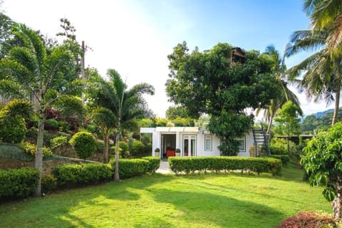 Property building, Garden, Decorative detail