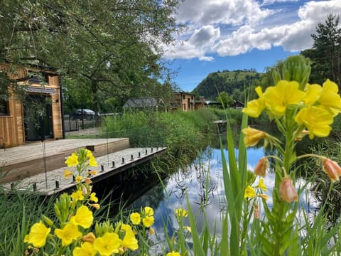 Day, Natural landscape, Lake view
