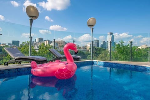 Day, Pool view, Swimming pool, sunbed