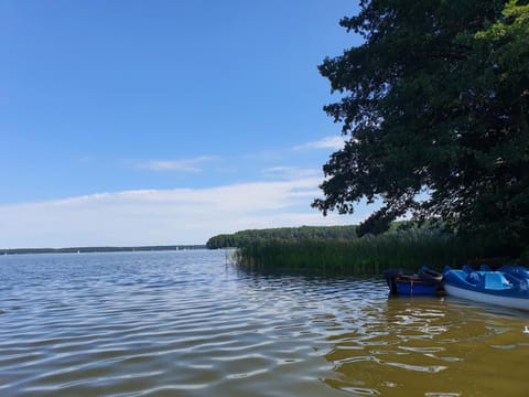 Lake view