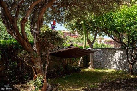 Patio, Spring, Day, Garden, Garden view