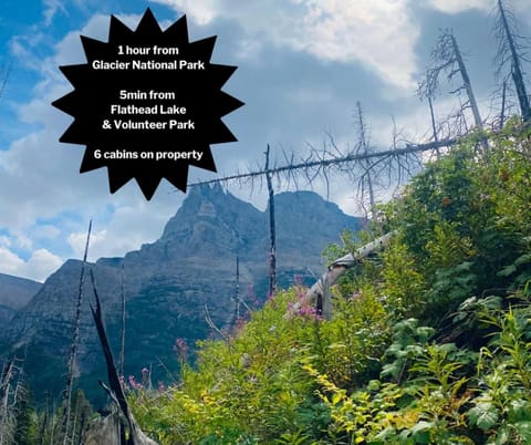 The TREE HAUS A Montana Tiny Cabin Forest Retreat Cabin in Flathead Lake