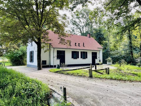 Property building, Summer
