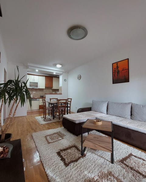 Apartman Harmonija Apartment in Montenegro